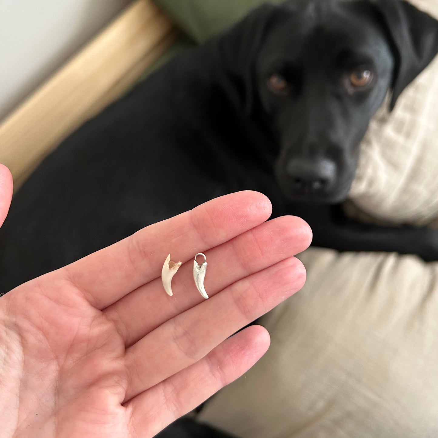 Custom Dog Tooth Pendant